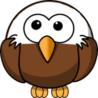 Little Eagles Newsletter - January - 2020