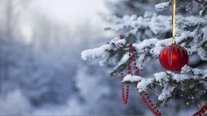 December Newsletter