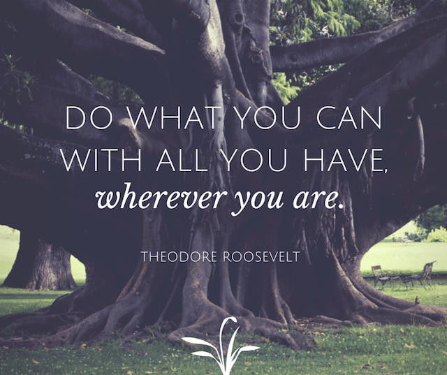 Do what you can with all you have wherever you are. 
