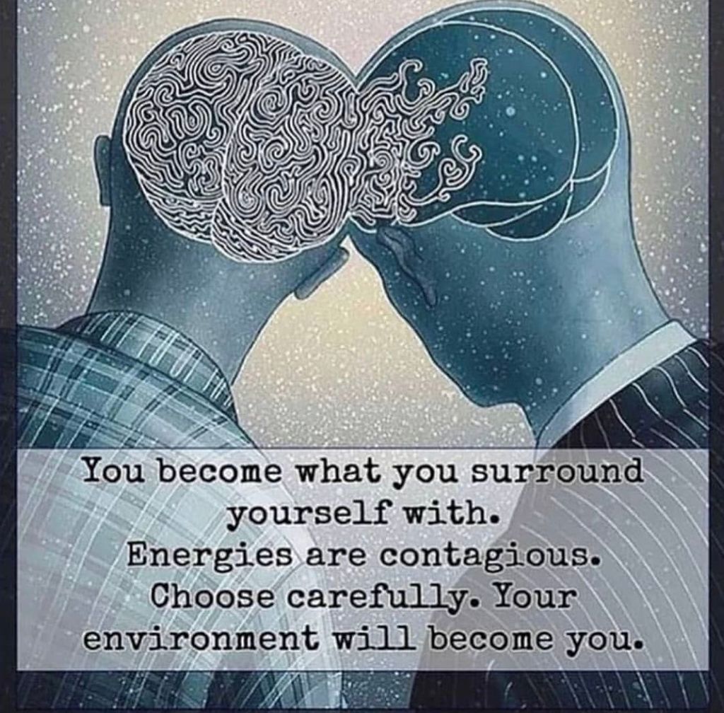 You become what you surround yourself with. 
